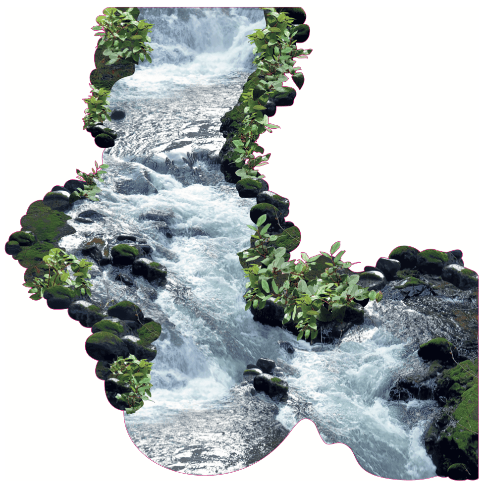 Cut out or a river with stones and plants