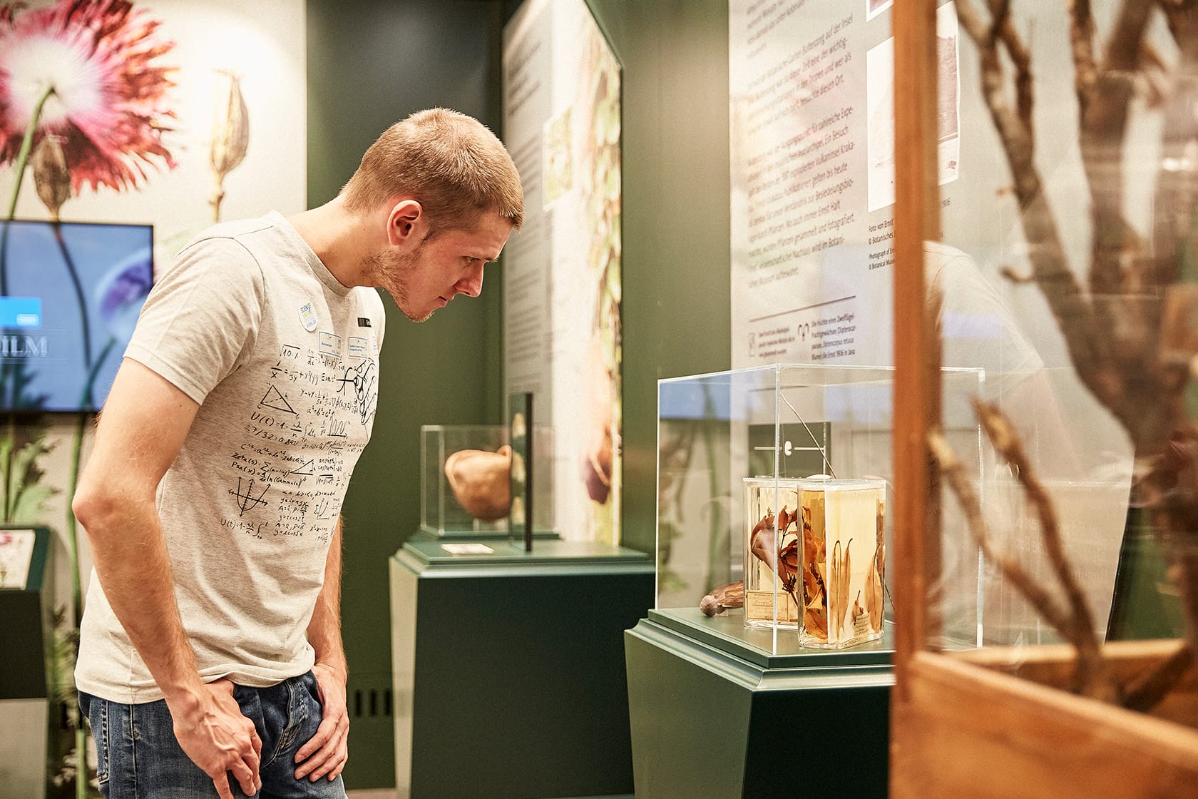 Ausschnitt Ausstellung Botanisches Museum