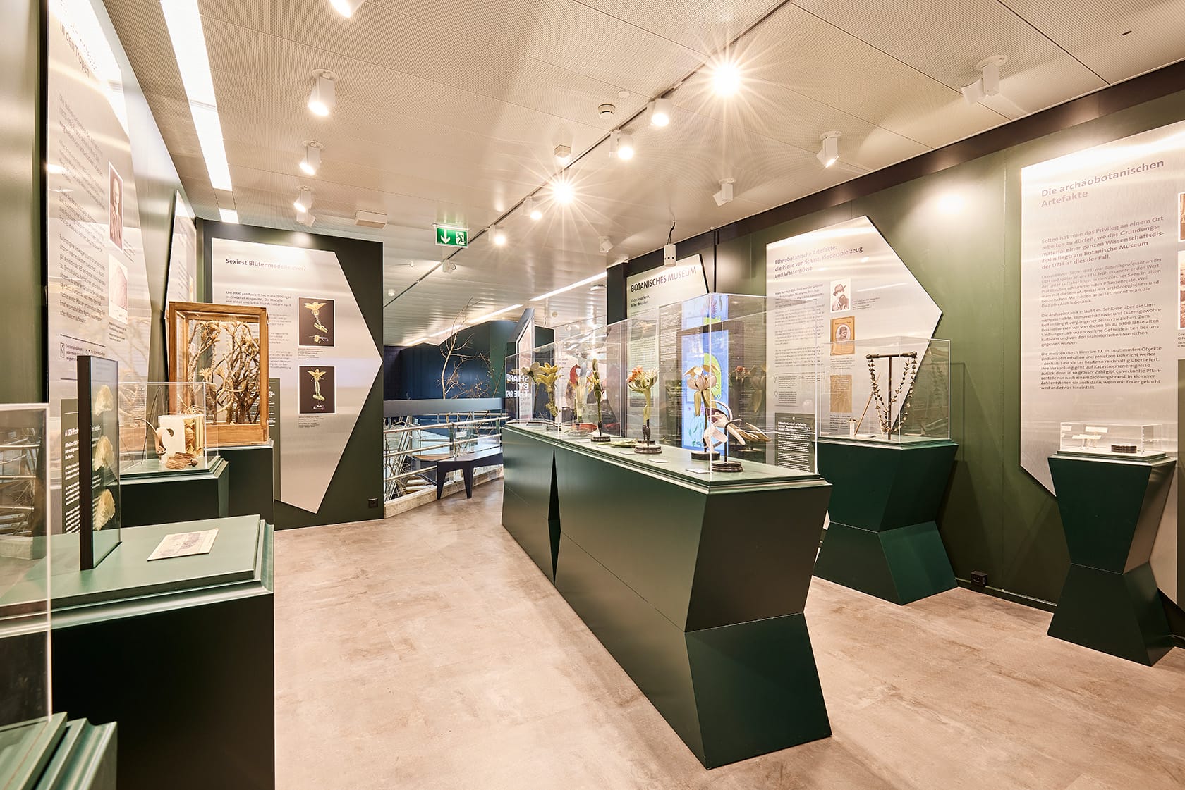 Ausschnitt Ausstellung Botanisches Museum