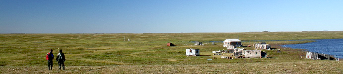 Arktische Steppe