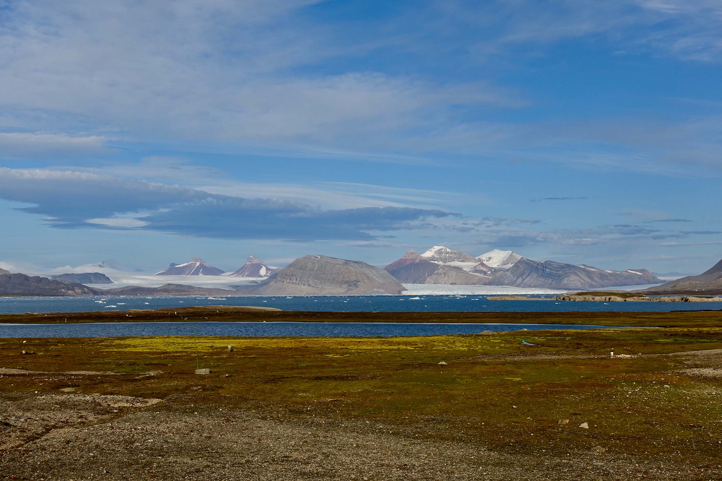 Herbstliche arktische Steppe mit Meer und Bergen im Hintergrund