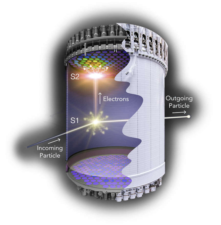 Zeplin Experiment illustration Illustration showing incoming particles hitting xenon in the tank