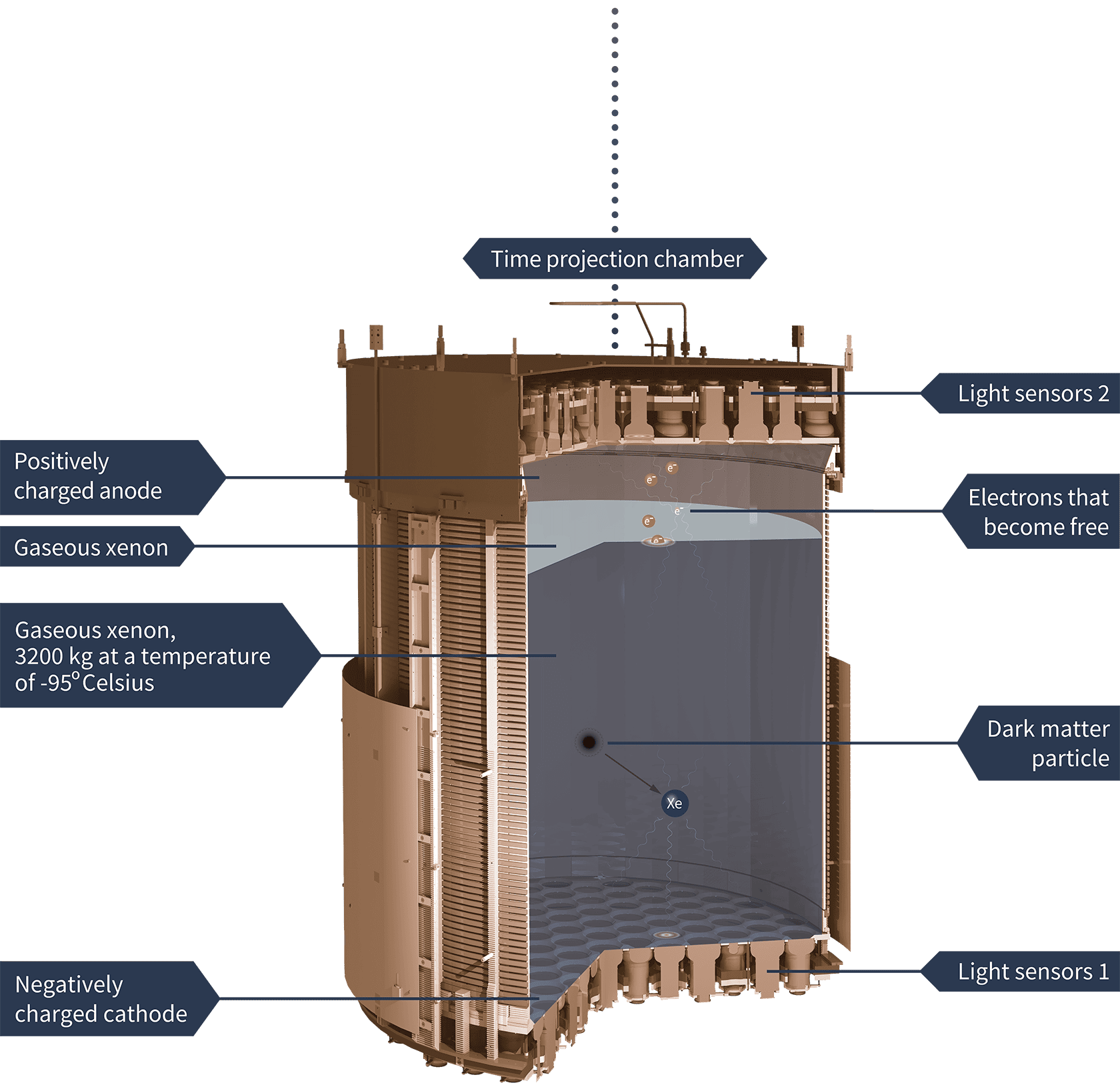 Time-projection-chamber.